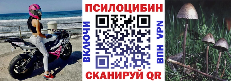 Галлюциногенные грибы прущие грибы  Орёл 